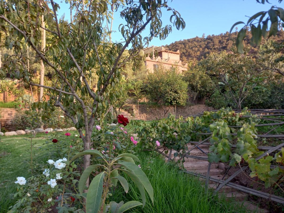 Gasthuis Ourika Timalizene Le Jardin Des Delices *