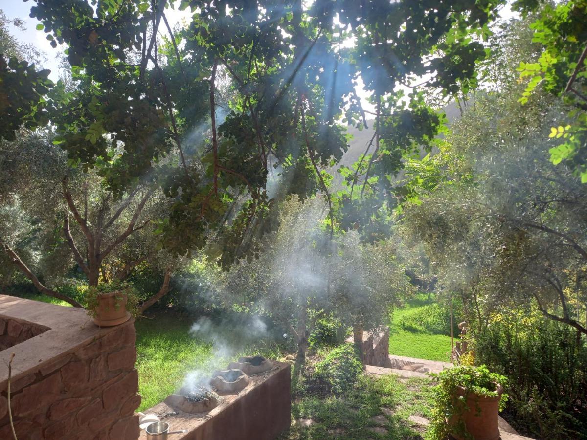 Ourika Timalizene Le Jardin Des Delices Tamezindert